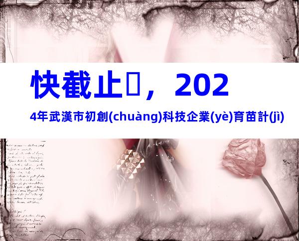 快截止，2024年武漢市初創(chuàng)科技企業(yè)育苗計(jì)劃申報(bào)條件、相關(guān)內(nèi)容